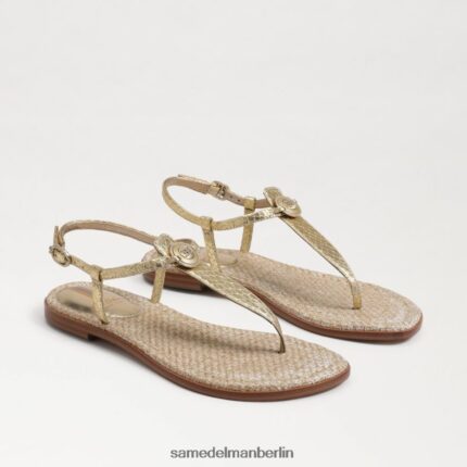 Sam Edelman Gigi Signet Zehenstegsandale Frauen Gold Schuhwerk 2P8JNV560