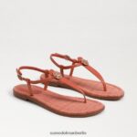 Sam Edelman Gigi Signet Zehenstegsandale Frauen Terrakottarosa Schuhwerk 2P8JNV561