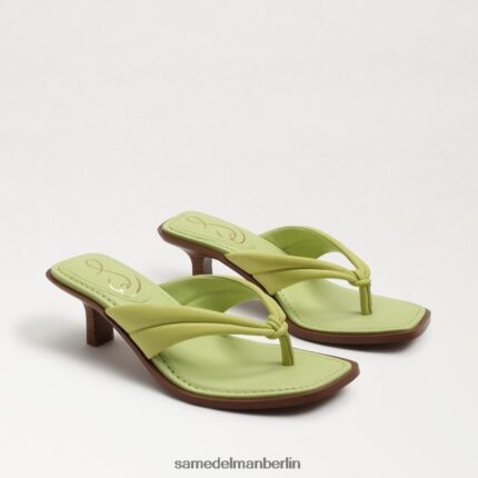 Sam Edelman Daphney Zehenstegsandale Frauen Kiwi-Leder Schuhwerk 2P8JNV710